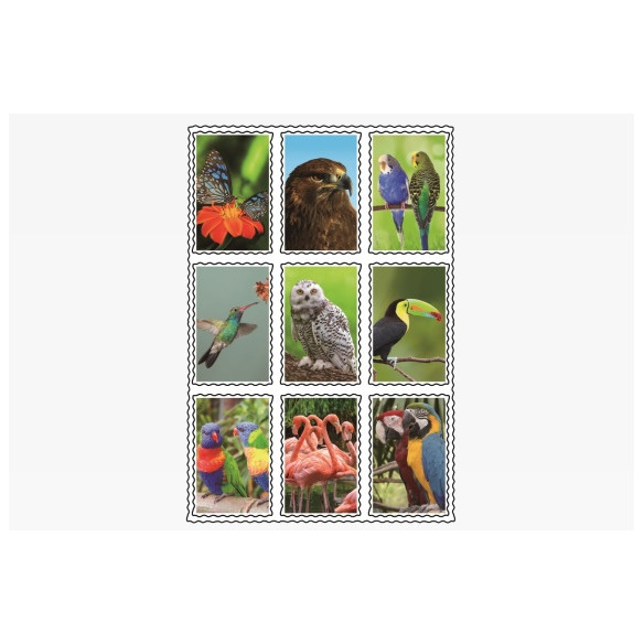 3D Sticker Vögel 9er Set